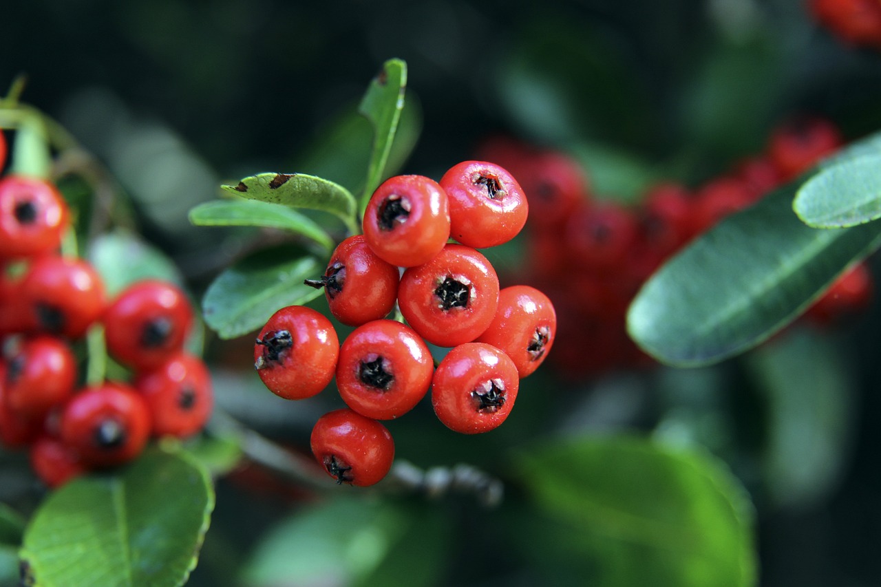 邵佳一独立带队时间不足一年半，此前曾担任国足助教